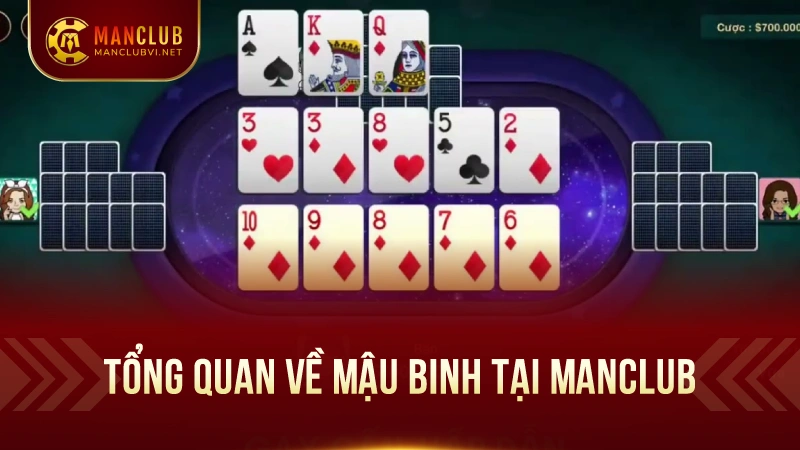 ManClub Mậu Binh - Sôi Động, Thách Thức Trí Tuệ 1 Tổng quan về Mậu Binh tại ManClub